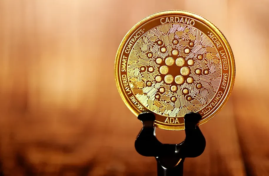 Cardano: Innovation und Wachstum im 2. Quartal 2023