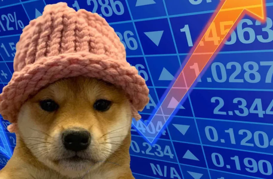 Dogwifhat (WIF) steigt über 25% nach Binance Listing