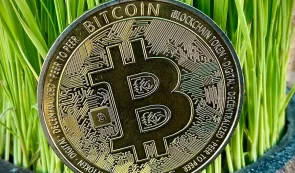 Bitcoin (BTC) In Grass