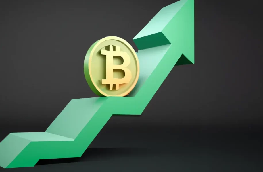 Bitcoin: “Don’t Expect a Quick Bull Run” – Lyn Alden