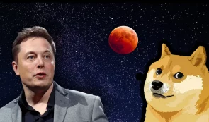 Elon Musk Doge Meme