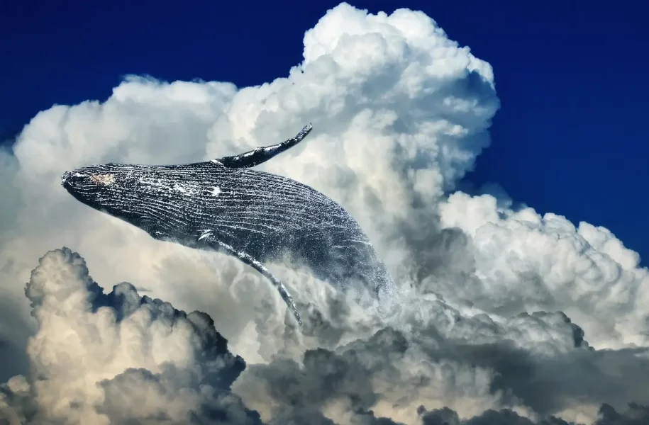 Bitcoin Whales Go on a $6.16 Billion Buying Spree Post-ETF Approval