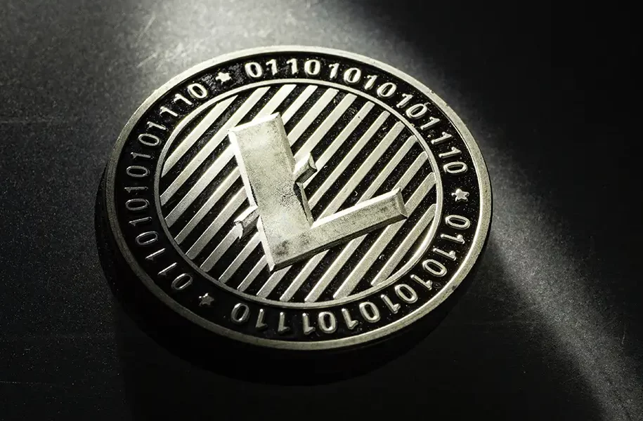 Litecoin Emerges as Top Choice for Online Shopping