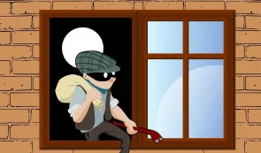 Thief Robbery Crime