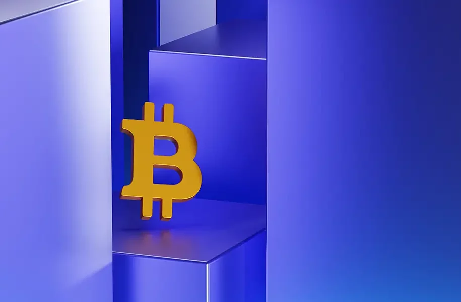 Retail Investors Drive Bitcoin ETF Surge in 2024