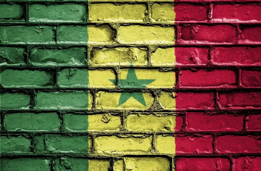 Senegal’s Potential BRICS Membership: A Boost for Trade and Currency