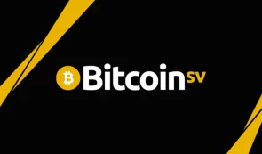 Bitcoin Satoshi Vision
